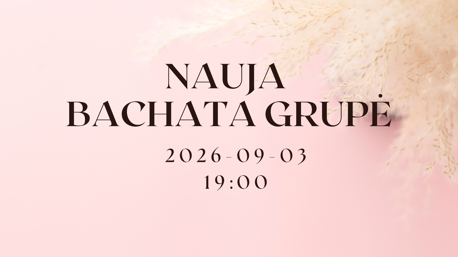 Nauja porinių šokių grupė